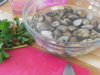 Lavage Palourdes Eau Salée